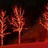 Fire Trees